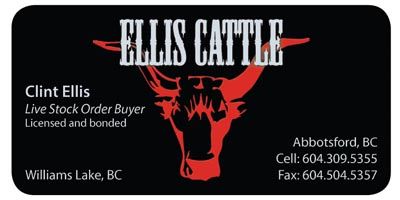 Ellis Cattle