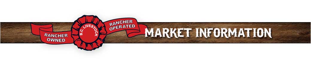 market info