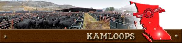 kamloops stockyard