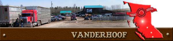 vanderhoof stockyard