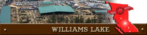 williams lake stockyard